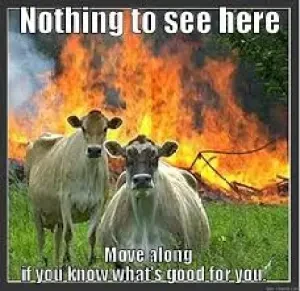 Nothing to see here