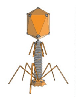 1741. Viruses: nanobot AI entities: beasts of the earth: biological weapons