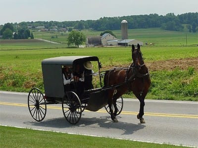 Robert Barnes: USDA Is Persecuting Amish Communities To Test Complete Control Over Food Supply - Watch