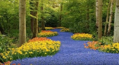 How to activate the blessing of God