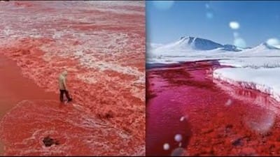 Strange signs of the end times are happening! 'BLOOD RAIN' & rivers & oceans turning RED! - Watch