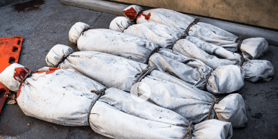 Russia to NATO: Bring Body Bags For Troops If They Enter Ukraine - Watch