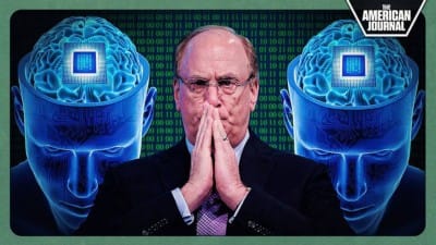 Blackrock Installs Brain Chips In 50 Americans - Watch