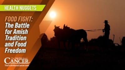 The Truth About Cancer: Health Nugget 82 - Food Fight: The Battle for Amish Tradition & Food Freedom - Watch