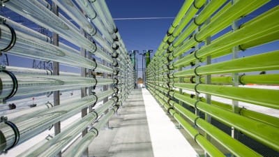 The Carbon Capture Pipeline: The Latest Bridge to Nowhere
