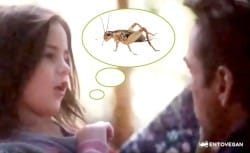 Eating Crickets in Avengers Endgame - Tony Stark's Daughter and Edible Insects for Lunch
