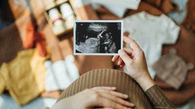 Global Fertility Crisis Threatens 97% of World Population, Scientists Warn