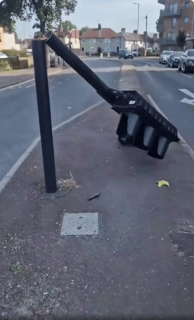 People all around the world are starting to revolt and destroy the flock cameras - Watch
