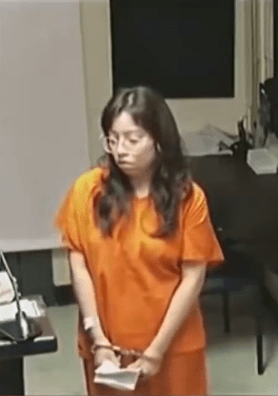 Florida student faces 15 years for joking about Israel’s war crimes. - Watch