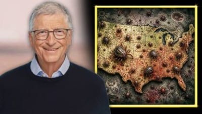 Bill Gates and ticks