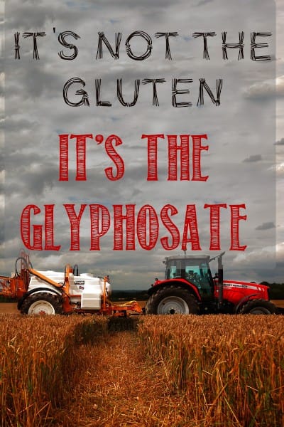 The Real Reason Wheat is Toxic (it's not the gluten)