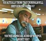 Gun control laws