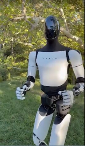 Humanoid Robots - Watch