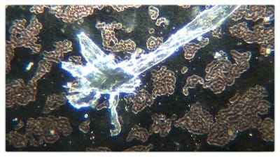 Hydrogels in COVID Vaccine as Programmable Human Interface - Watch