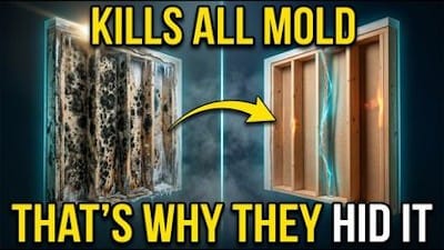 One Copper Cable Eliminates ALL Mold Forever — Why Is This Science 'Forbidden'? - Watch
