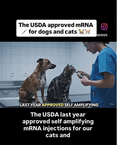 The USDA Approved mRNA for Dogs & Cats - Watch