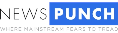 News Punch
