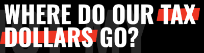 Not My Tax Dollars (website)