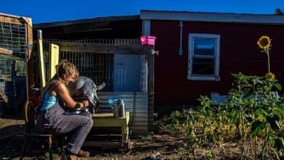 Oregon is Waging a War Against Small Farmers