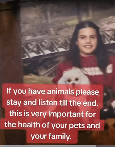 Beware: New Rabies Shot On The Market - Watch