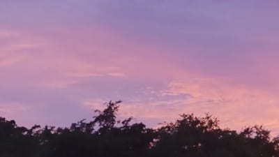 Red Afternoon Delight - Watch