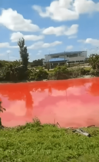 River water is blood red, Avellaneda, Argentina, February 6th, 2025