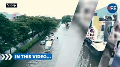 'SOTT Earth Changes Summary - January 2025： Extreme Weather, Planetary Upheaval, Meteor Fireballs' - Watch