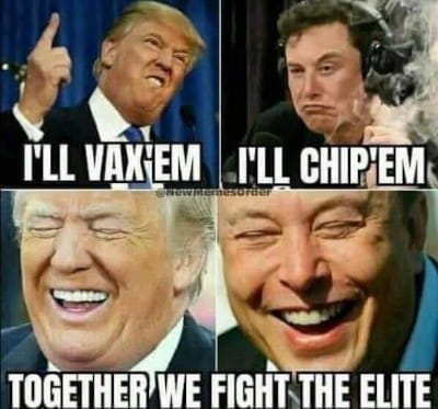 Trump and Musk