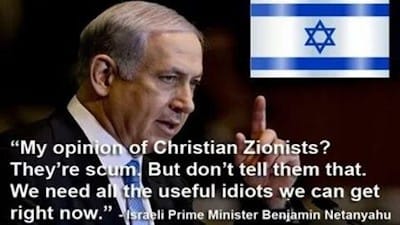 Useful idiots