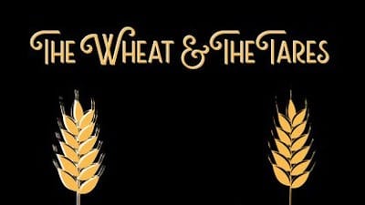 Wheat and Tares