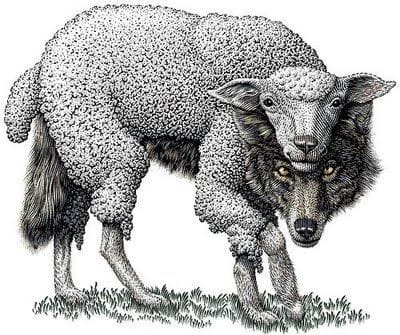 Beware of false prophets